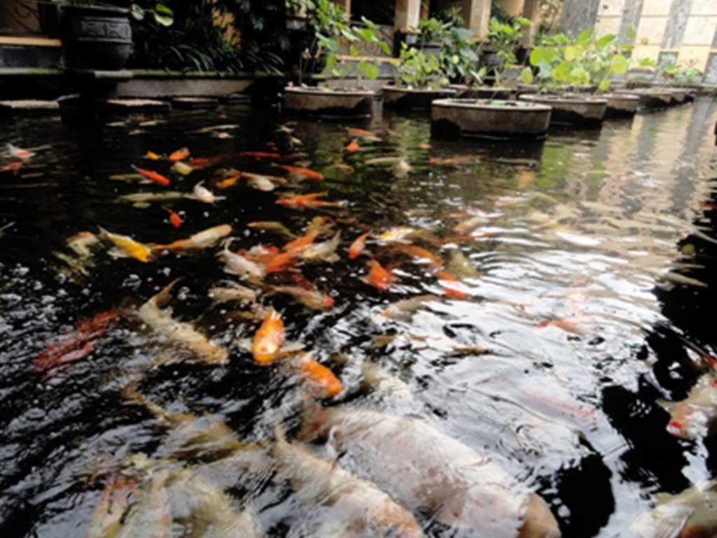 Lotus Garden Hotel Kediri  Esterno foto